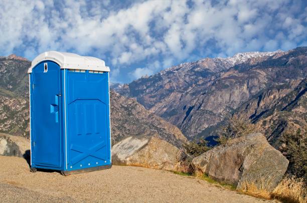 Best Sanitation services for porta potties  in Moose Lake, MN